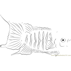 Albino Paradise Fish Dot to Dot Worksheet