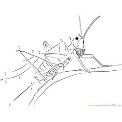 Grasshoppers Dot to Dot Worksheet