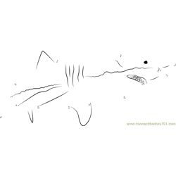 Great White Shark in Blue Water Dot to Dot Worksheet