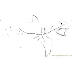 Shark Great White Fish Mount Dot to Dot Worksheet