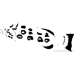 Black Fish Grouper Dot to Dot Worksheet