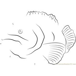 Grouper in National Aquarium Dot to Dot Worksheet