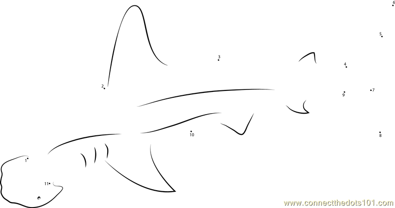 Golden Hammerhead Shark
