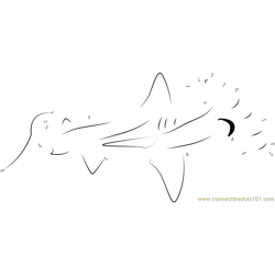 Hammerhead Shark Swimming Dot to Dot Worksheet