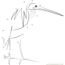 Agami Heron Dot to Dot Worksheet