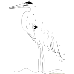 Blue Heron Dot to Dot Worksheet