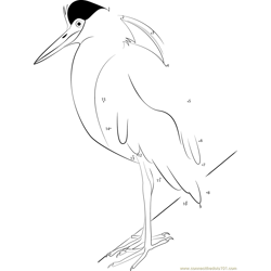 Capped Heron Dot to Dot Worksheet