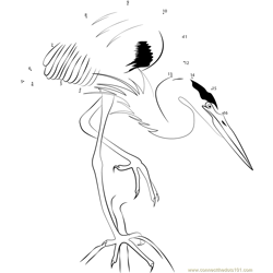 Heron Bird Perched in a Tree Dot to Dot Worksheet