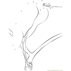 Solitary Heron Bird Dot to Dot Worksheet