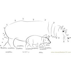 Hippopotamus With Baby Dot to Dot Worksheet