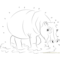 Hippopotamus in Water Dot to Dot Worksheet