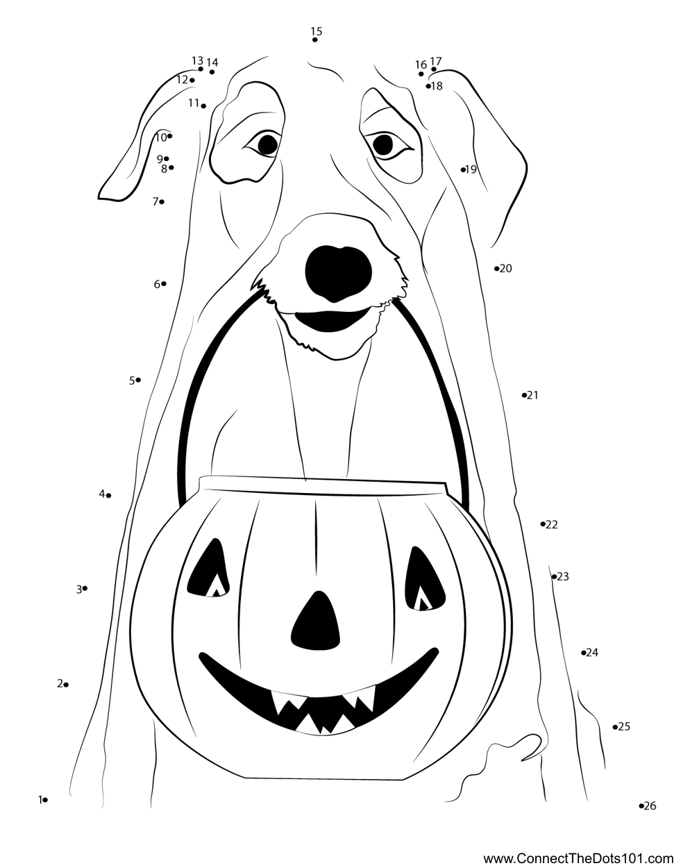 Dogs Jack Lantern Pumpkins Ghost