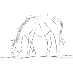 Horse Eating Grass Dot to Dot Worksheet