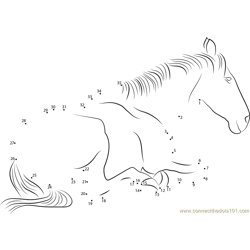 Horse Relaxing Dot to Dot Worksheet