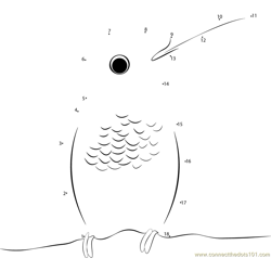 Berylline Hummingbird Dot to Dot Worksheet