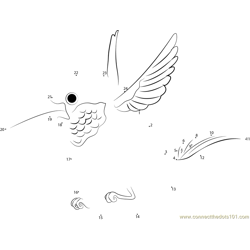 Chubby Hummingbird Dot to Dot Worksheet