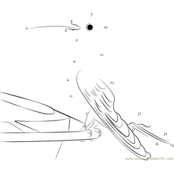 White-throated Hummingbird Dot to Dot Worksheet