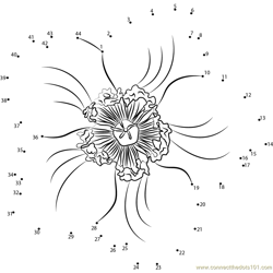 Hypericum Flower Dot to Dot Worksheet