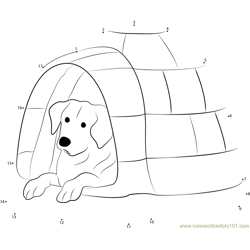 Igloo Dog House Dot to Dot Worksheet