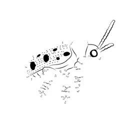Discover the Asian Beetle Dot to Dot Worksheet
