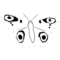 Peacock Butterfly Numerical Recreation Dot to Dot Worksheet