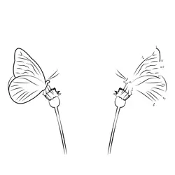 Two Butterflies Flying Near Flowers Dot to Dot Worksheet