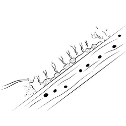 Worm Climbing Tree Trunk Dot to Dot Worksheet