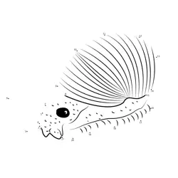 Follow the Snail Sequence Dot to Dot Worksheet