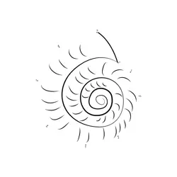 Spiral Snail Shell Formation Dot to Dot Worksheet