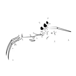 Spider on its Web Dot to Dot Worksheet