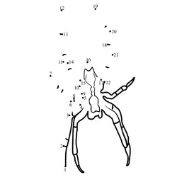 Garden Spider Form Journey Dot to Dot Worksheet