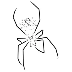 Suspended Arachnid Junction Game Dot to Dot Worksheet
