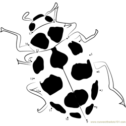 Black Spotted Ladybug Dot to Dot Worksheet