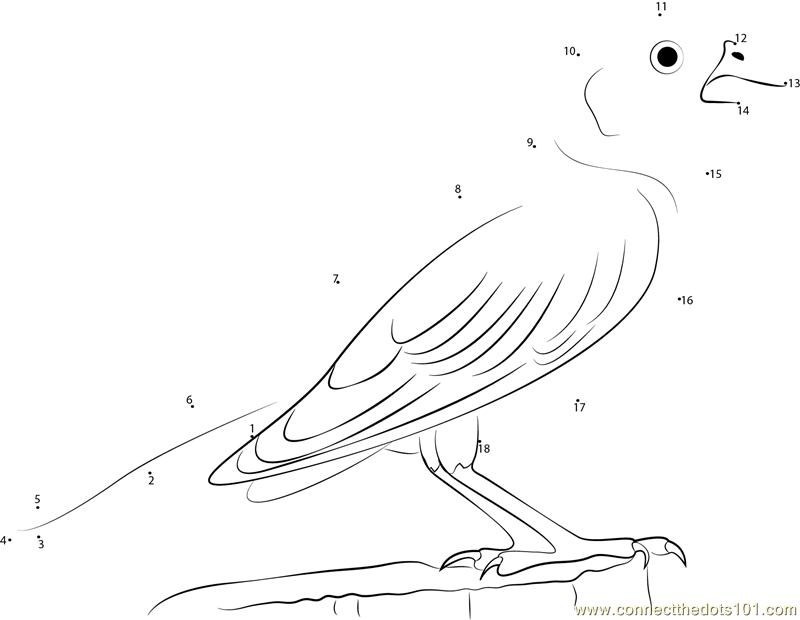Lark Bunting State Bird Of Colorado Dot To Dot Printable Worksheet Connect The Dots Add detailing and definition to the fin too. lark bunting state bird of colorado dot