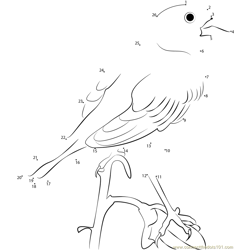 The Attracting Bird Lark Bunting Dot to Dot Worksheet