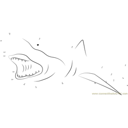 Blacknose Shark Dot to Dot Worksheet