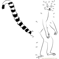Standing Ring Tailed Lemur Berenty Dot to Dot Worksheet