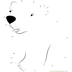 Baby Polar Bear Dot to Dot Worksheet