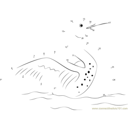 Common Loon Immature Dot to Dot Worksheet