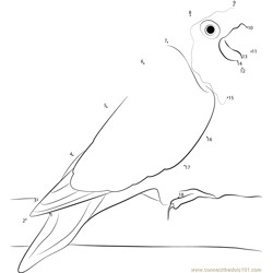 Bird Love Dot to Dot Worksheet