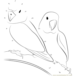 Fischer's Lovebird Dot to Dot Worksheet