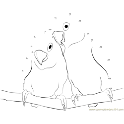 Picture of Two Love Birds Dot to Dot Worksheet