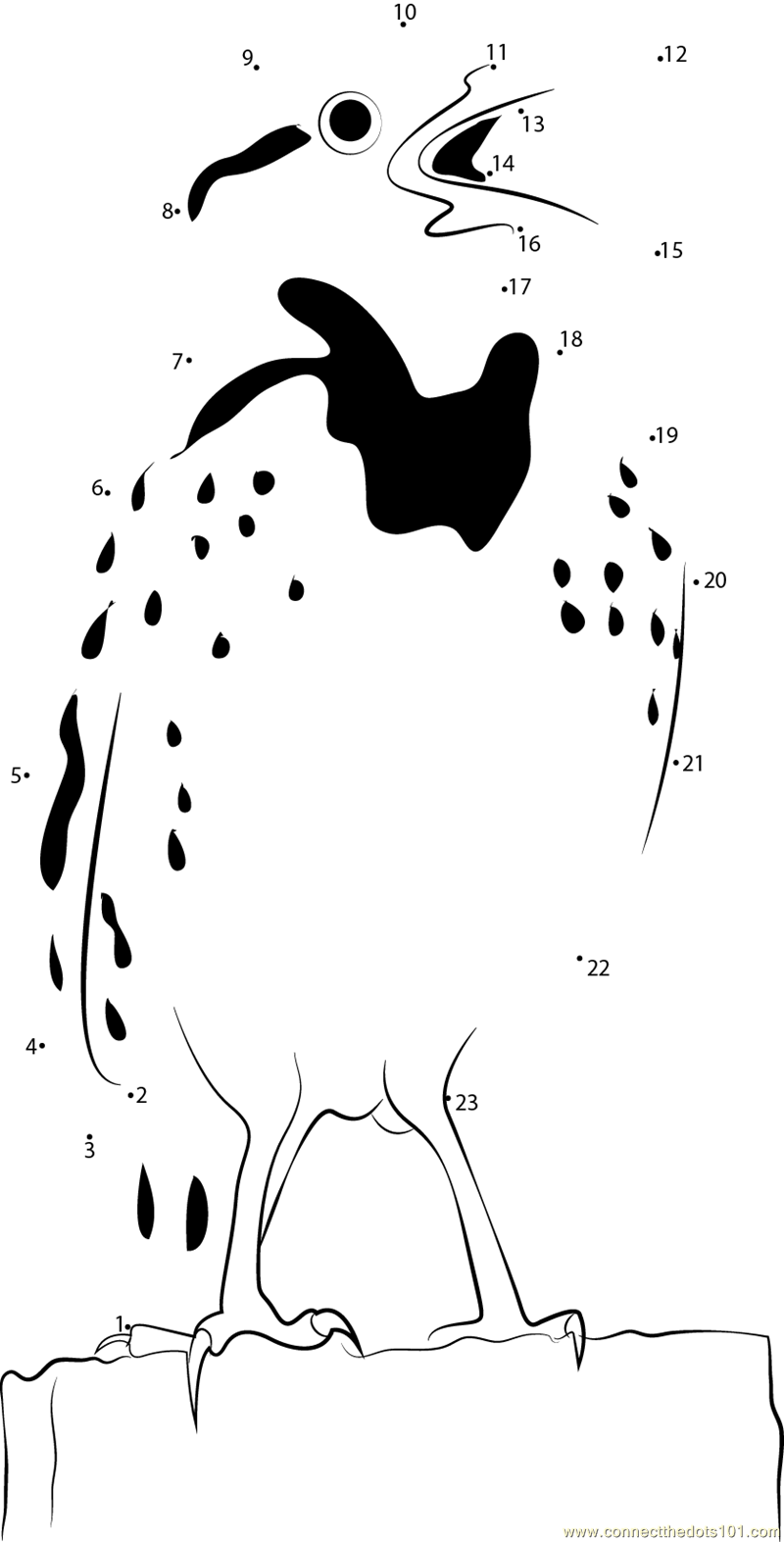Meadowlark Bird