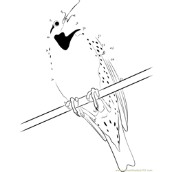 Eastern Meadowlark Male on Fence Post Dot to Dot Worksheet