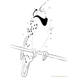 Gorgeous Meadowlark Dot to Dot Worksheet