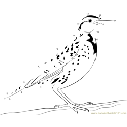Standing on Tree Meadowlark Bird Dot to Dot Worksheet