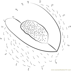 Melons Cut Dot to Dot Worksheet