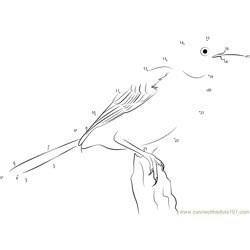 A Mockingbird Dot to Dot Worksheet