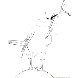 Animals Birds Detail Dot to Dot Worksheet
