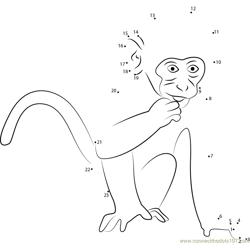 Monkey Dot to Dot Worksheet